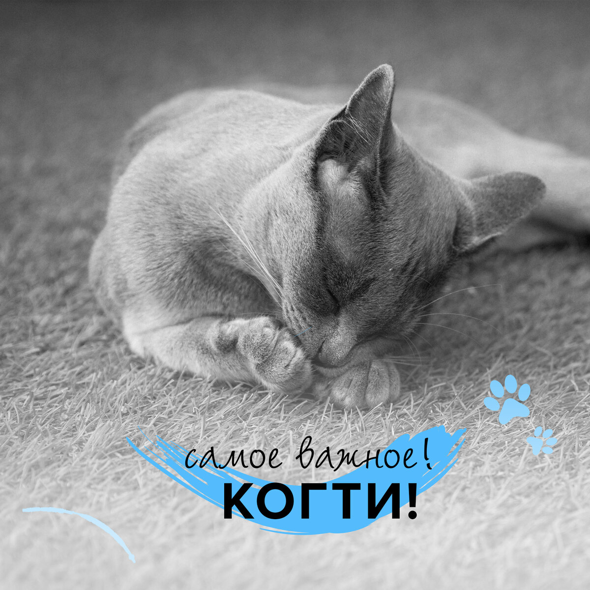  Это мощное оружие и ключевой инструмент для выживания в дикой природе💪 