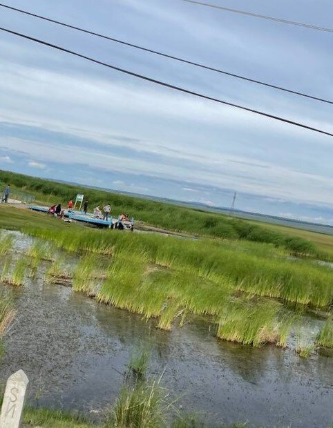 Монгольский отдых на болоте