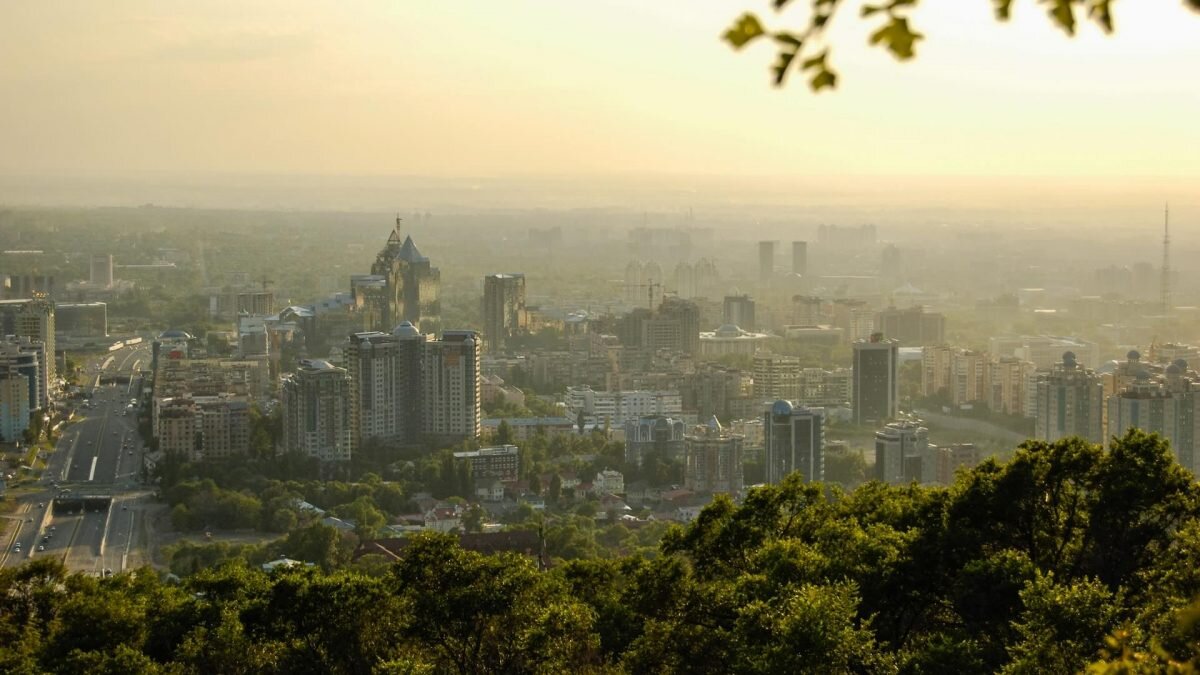    Фото: Unsplash Август Макаров