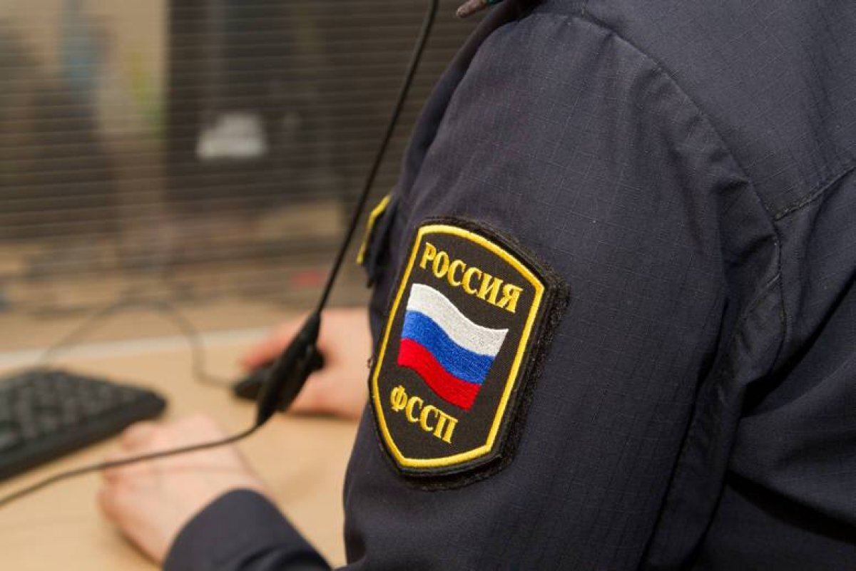    Студия мультипликации отсудила у омички крупную сумму