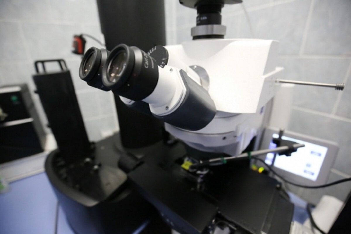 © Фото: ИД «Волгоградская правда» / архив