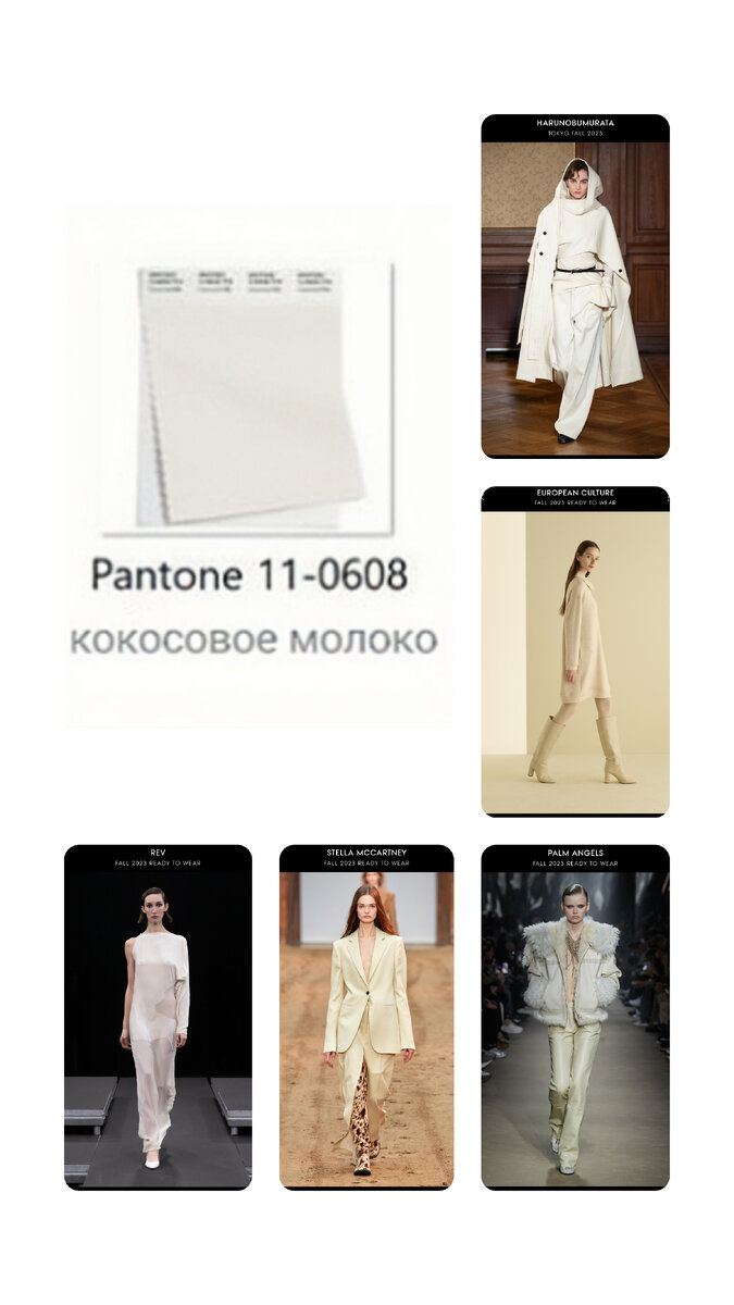 Примеры в оттенке "кокосовое молоко" С показов осень-зима 2023/24