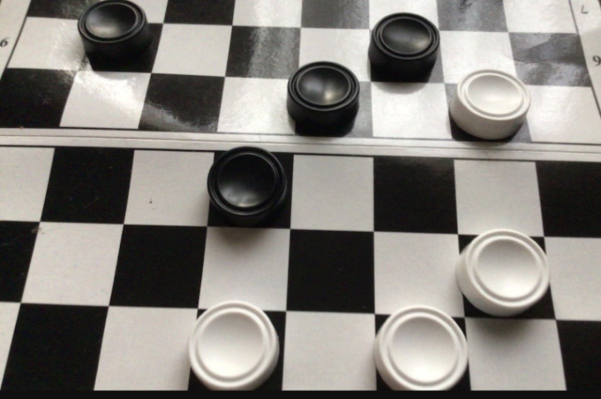    Впервые во Владимире состоялся фестиваль по шашкам для дошколят