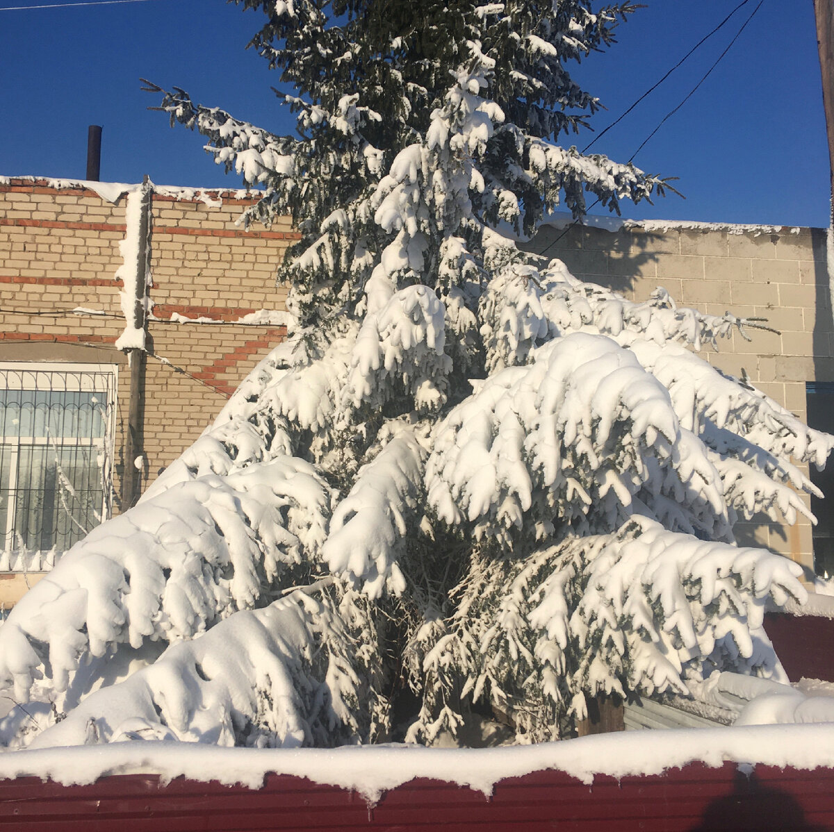 Зима пришла - много новых впечатлений