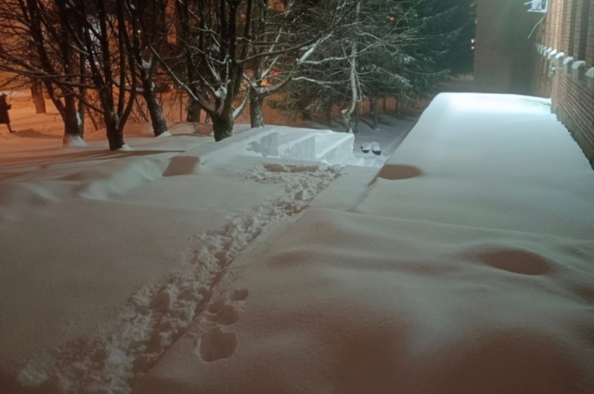    В Пензенской области ожидаются сильные порывы ветра и снег