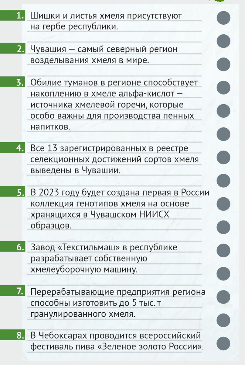 8 фактов о хмелеводстве в Чувашии | Центр Агроаналитики | Дзен