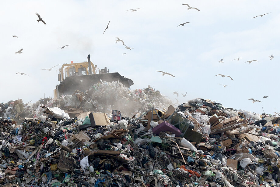 Прилетающие на свалки птицы могут представлять серьезную опасность для воздушно-транспортных средств. Фото: Кирилл Кухмарь/ТАСС