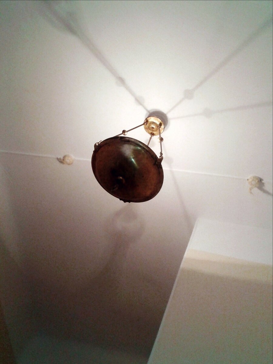 институт Отта, Санкт-Петербург