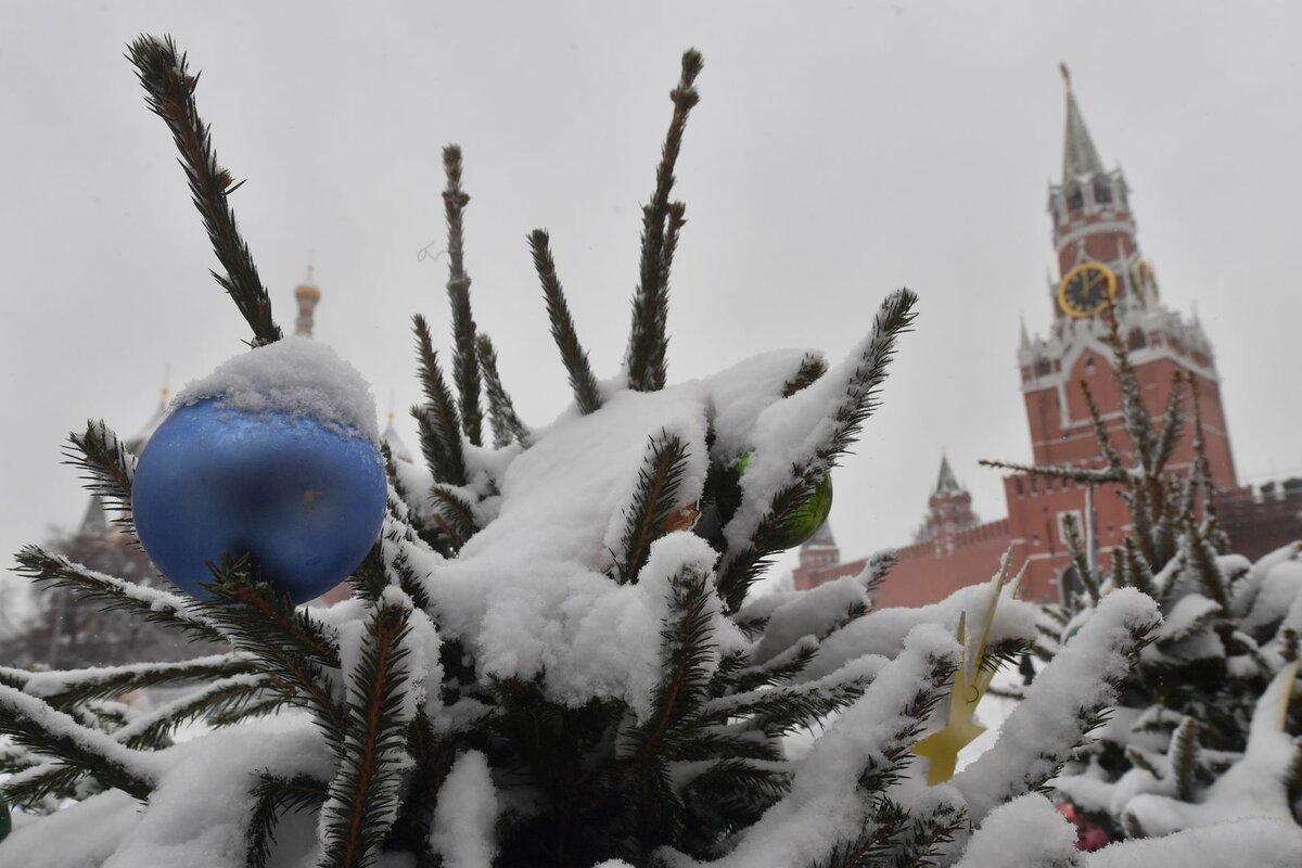    © Komsomolskaya Pravda/Global Look Press