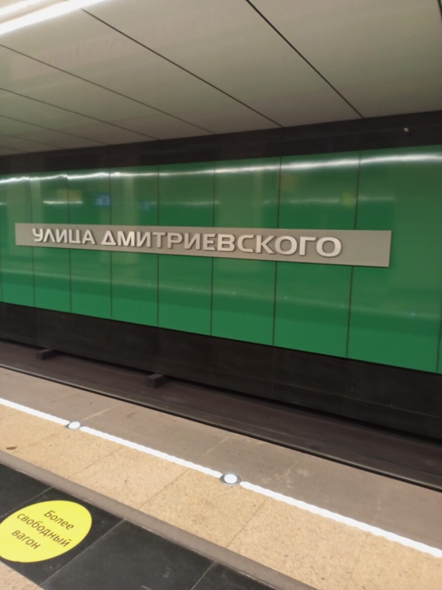 Фото. Станция Московского метро «Улица Дмитриевского».

	 