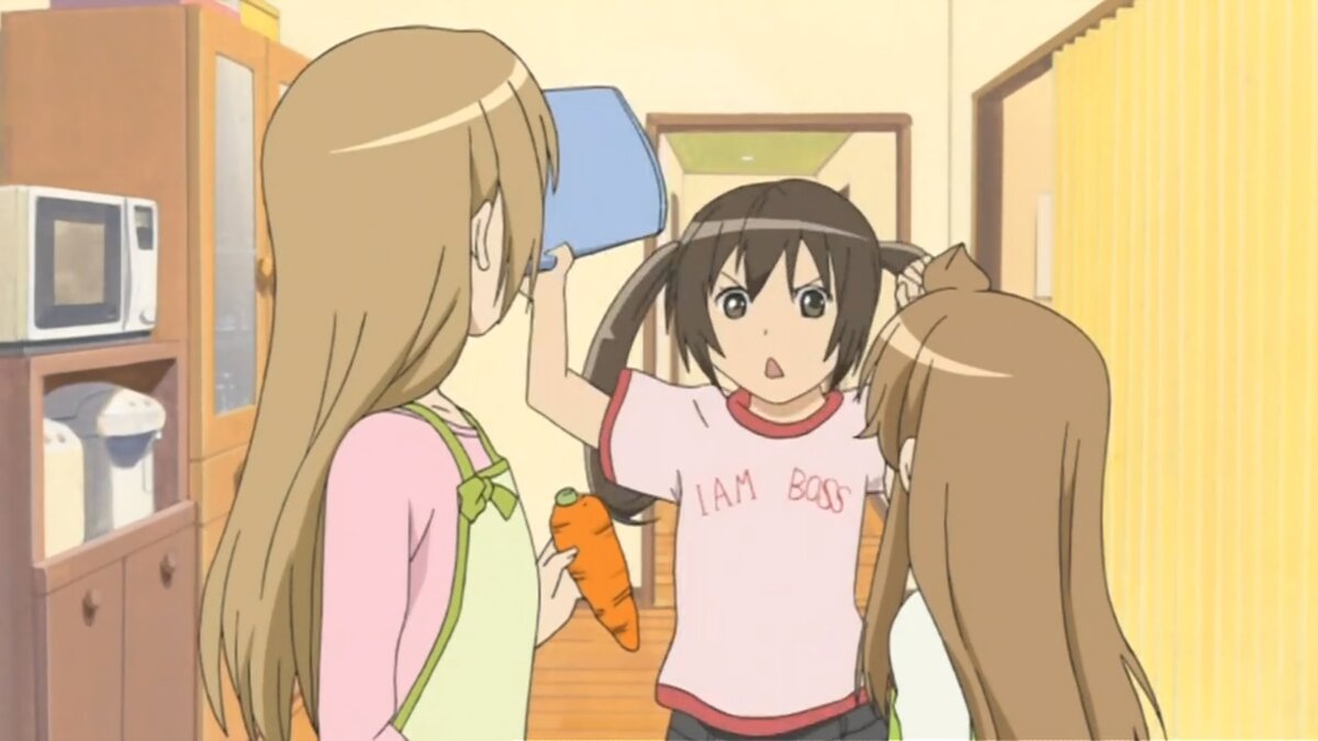 Сёстры Минами