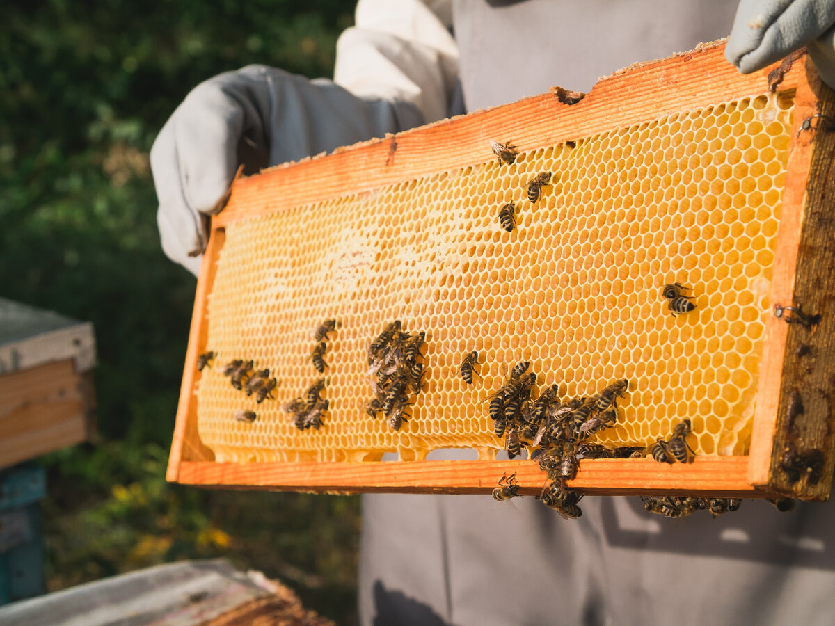 © Best smile studio/ Shutterstock  