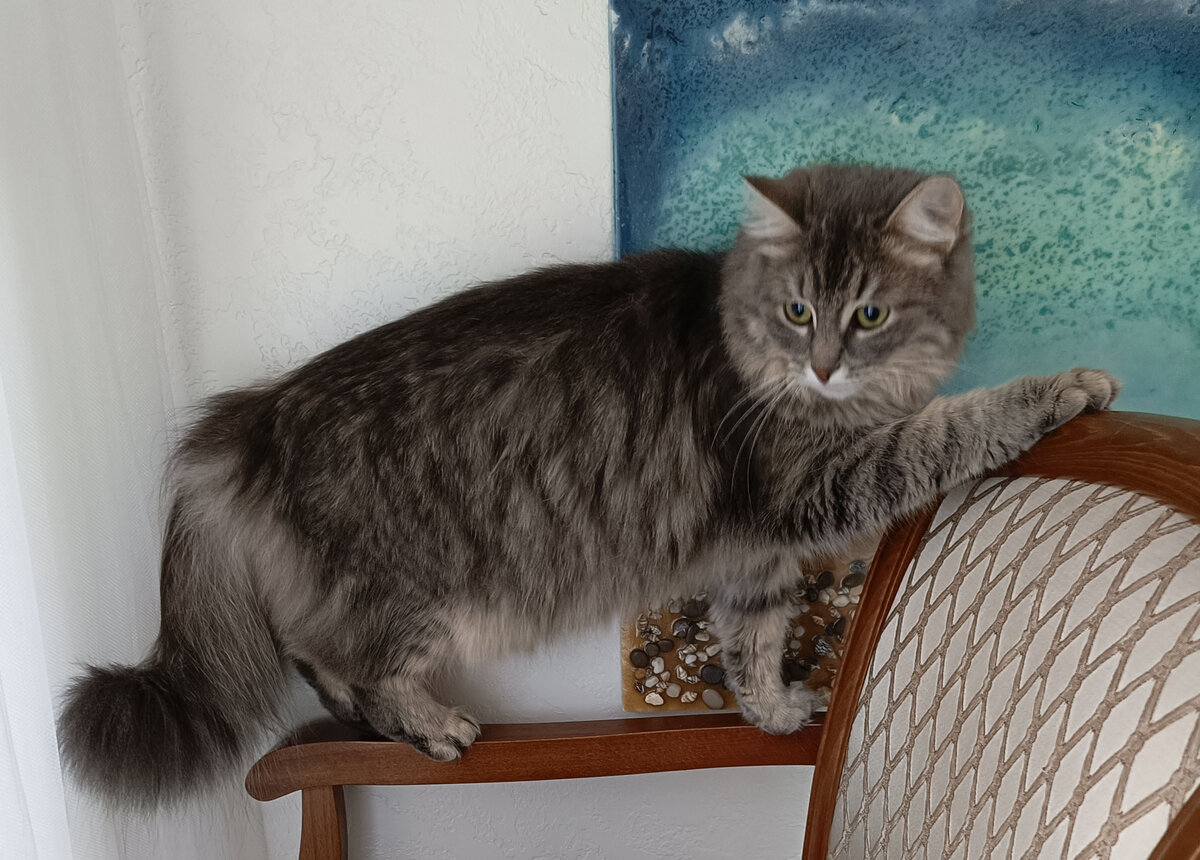 Красотка Беська