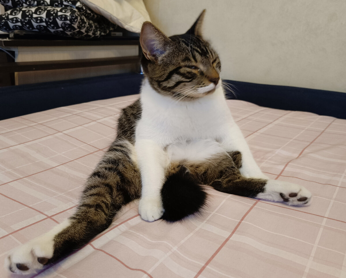 Это я, Кузька. Меня разбудили...