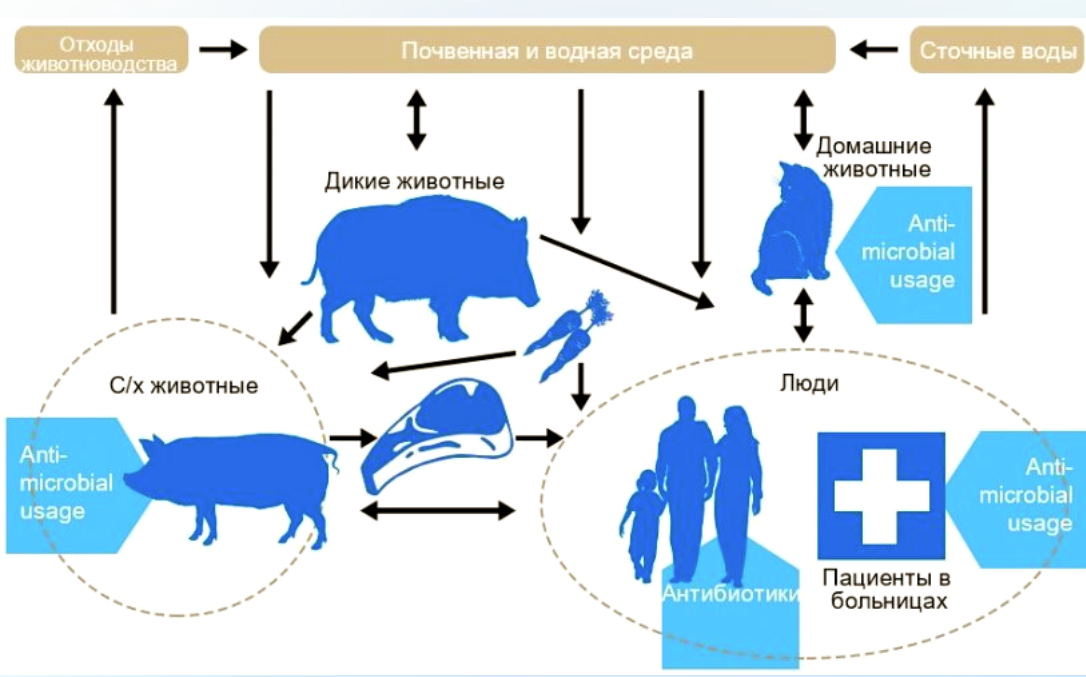 Резистентность животных