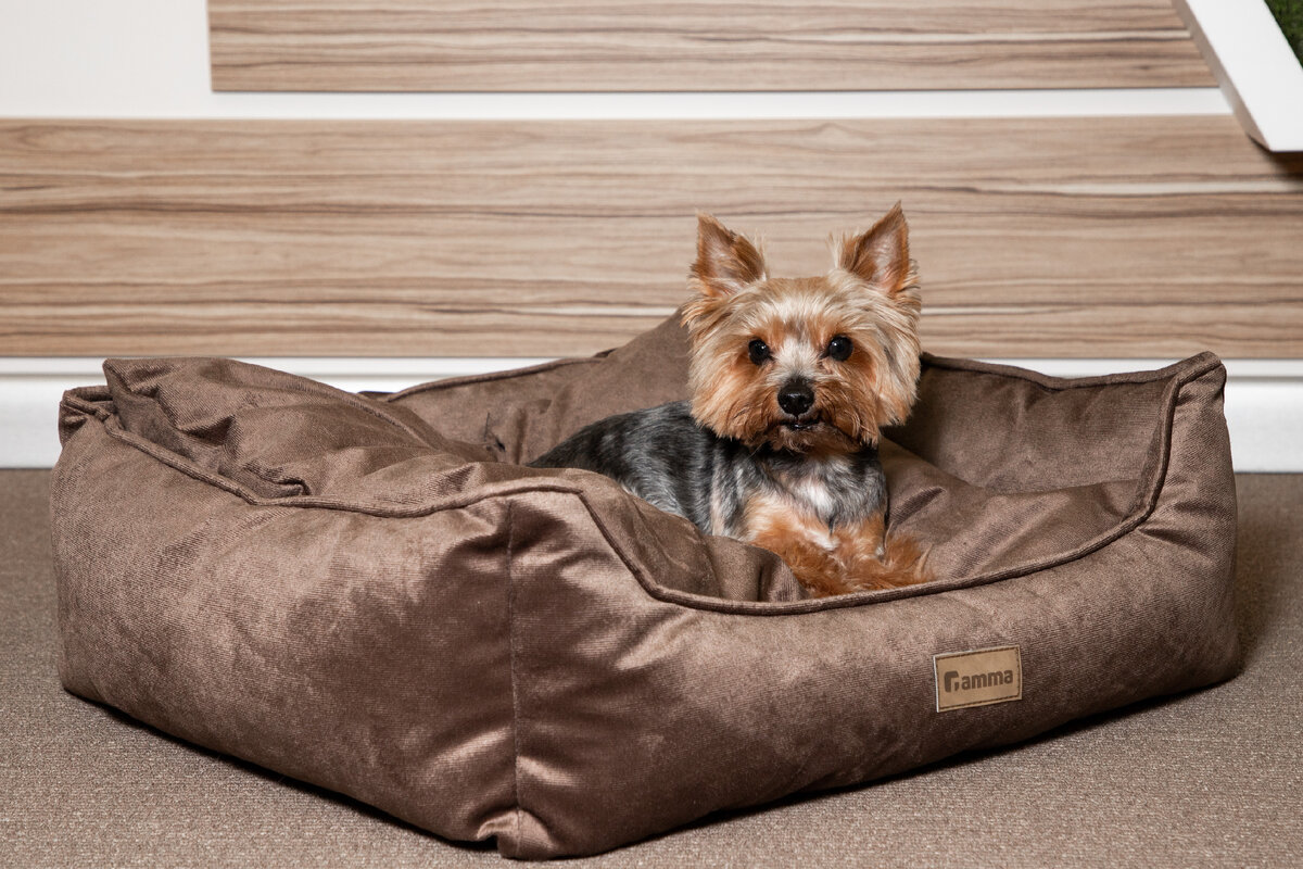 На фото — лежанка «Неман» Gamma.