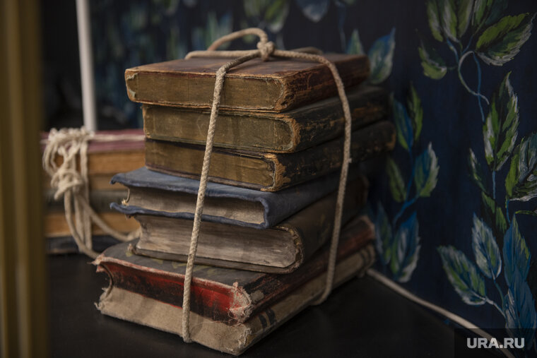    «Приют для книг» откроется в пермском ТЮЗе