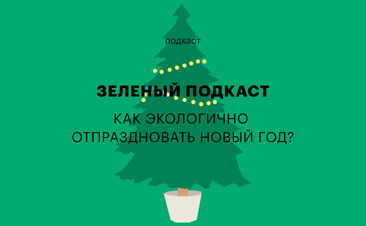 Как отпраздновать Новый год экологично: «Зеленый» подкаст «РБК Трендов» |  РБК Тренды | Дзен