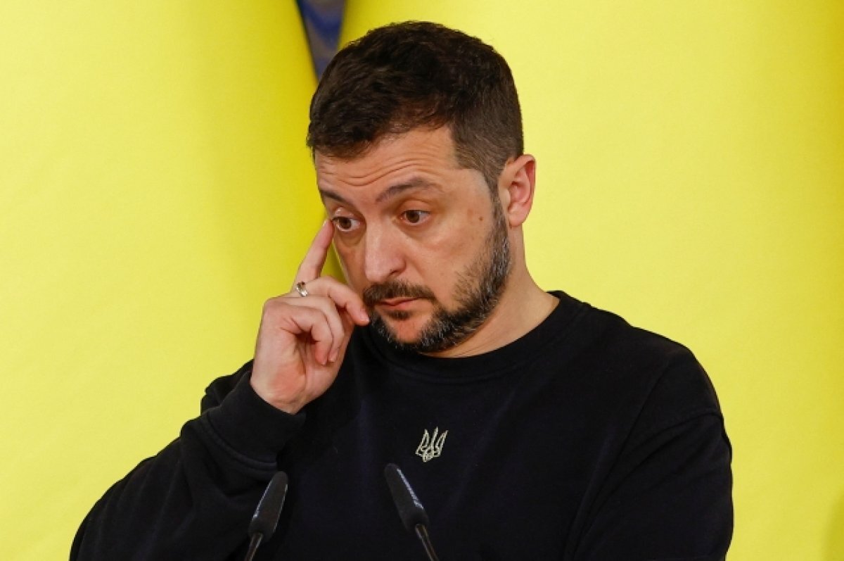    Эксперт Косоруков назвал показным намерение Зеленского обсудить мирный план