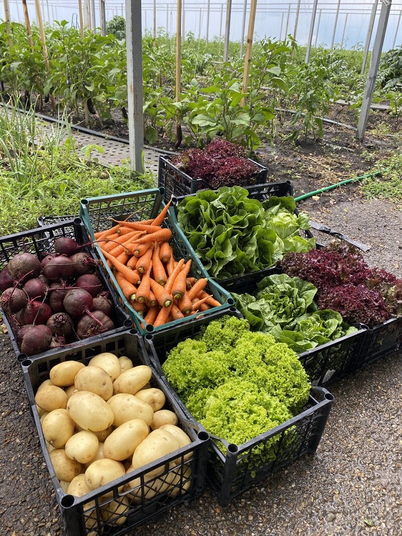 Фото: КФХ «Сокольский»