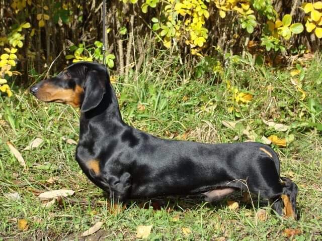 GREAT KAPRIZ TUAMOTU