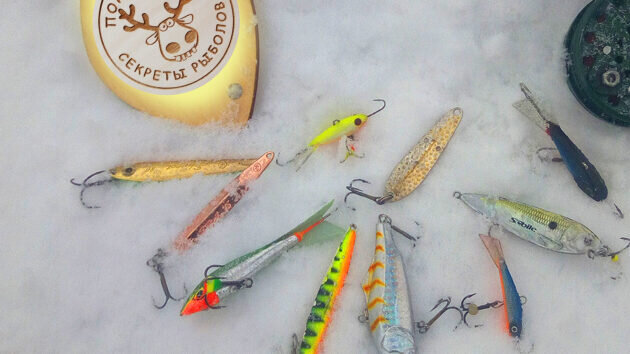 Приманка на судака при ловле со льда