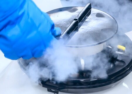    ВСУшники получили право бесплатного хранения своих репродуктивных клеток в криобанках