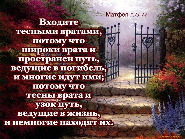 Источник: Яндекс. Картинки