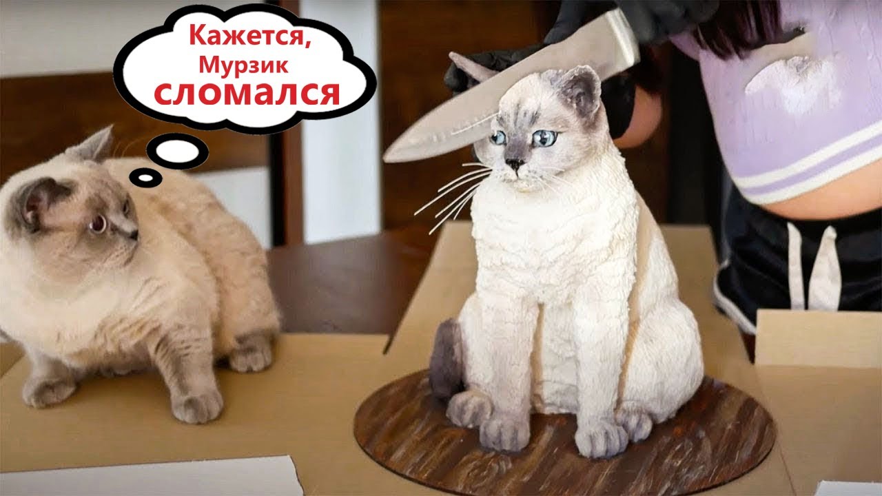 Приколы с котами! Смешные коты! С ОЗВУЧКОЙ! УГАРНЫЕ смешные животные!