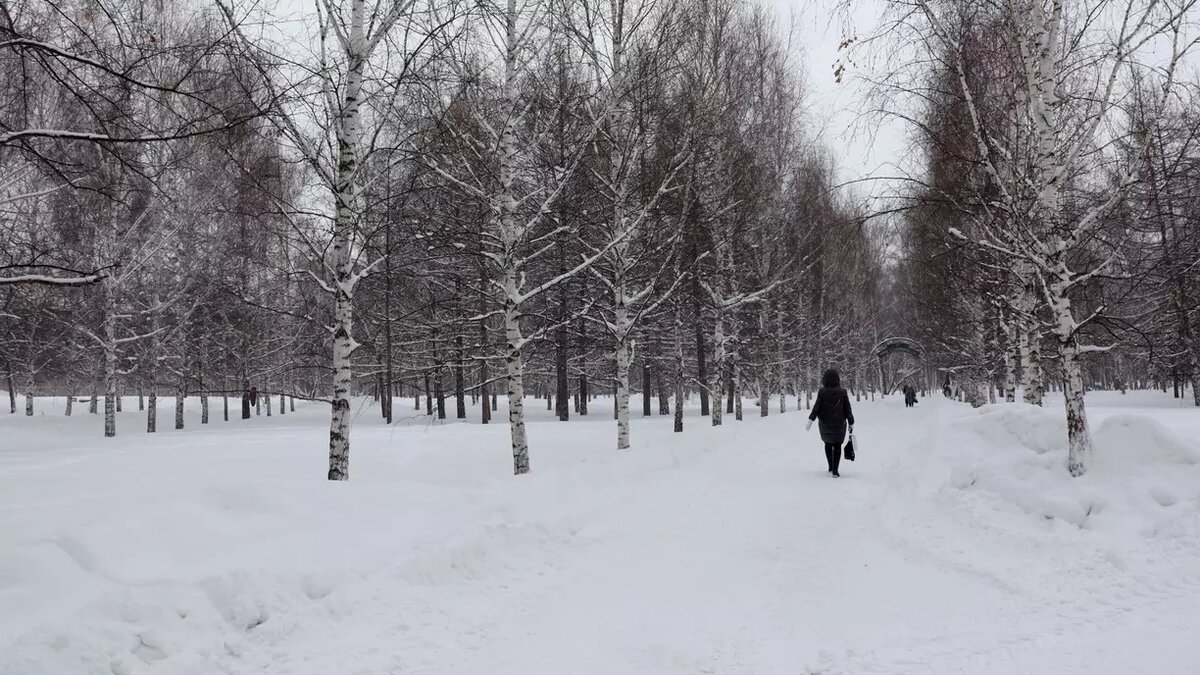     Прогноз погоды на ближайшие дни появился на сайте Обь-Иртышского УГМС.