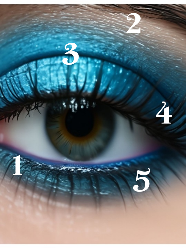 Белые тени и светлый металлик - во внутренний уголок глаза и область под бровью(1), (2). Основной оттенок ( в данном случае синий) - на область подвижного века (3), Более темный оттенок - складка век и внешний уголок глаза (4); завершающий этап - темная подводка по контуру глаза (5).