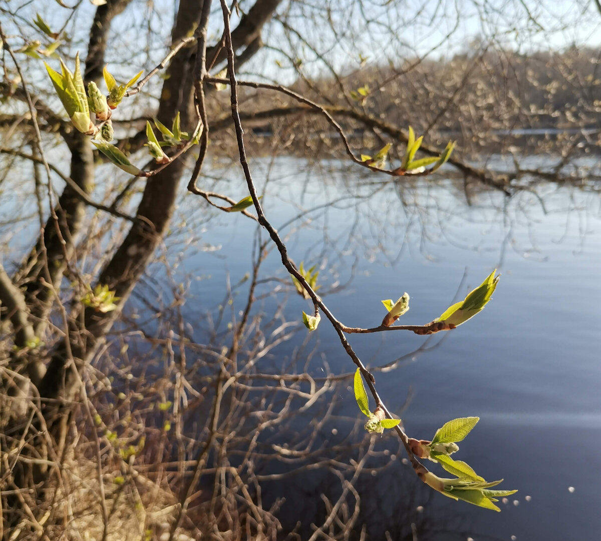 Фото автора