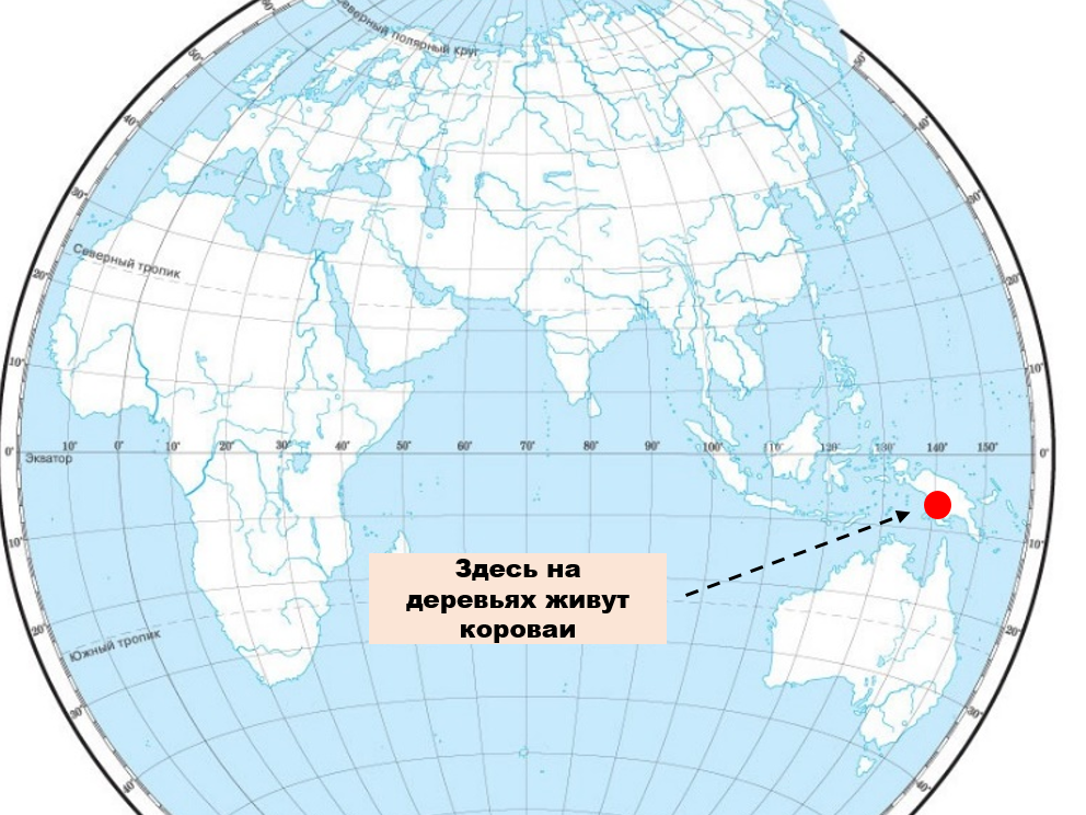 Относительно молодой этнос. «Относительного чего или кого», — спросит старина Эйнштейн. И будет прав, как всегда. А вдобавок и язычок нам свой покажет. Об этом народе, да, узнали совсем недавно.-3