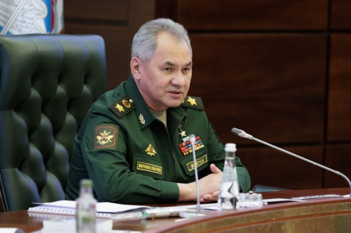    Шойгу приехал в Минск для участия в заседании стран ОДКБ