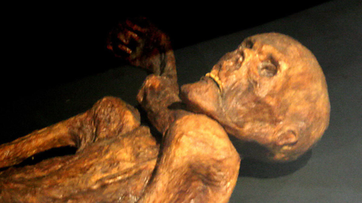     Ледяная мумия Этци Ирина Петрова
Ледяная мумия Этци120 / Wikimedia Commons