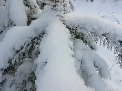 Фотография из личного архива автора