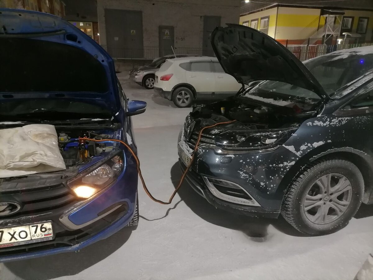 Спасение замёрзшего лягушонка.