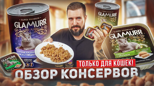 Эксклюзивно и только для кошек! GLAMURR премиальный влажный корм для кошек | Обзор кошачьего корма отечественного производителя.