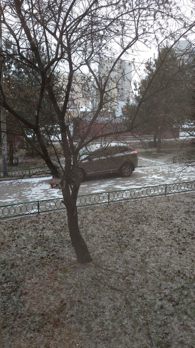 Вид из окна. Фото автора