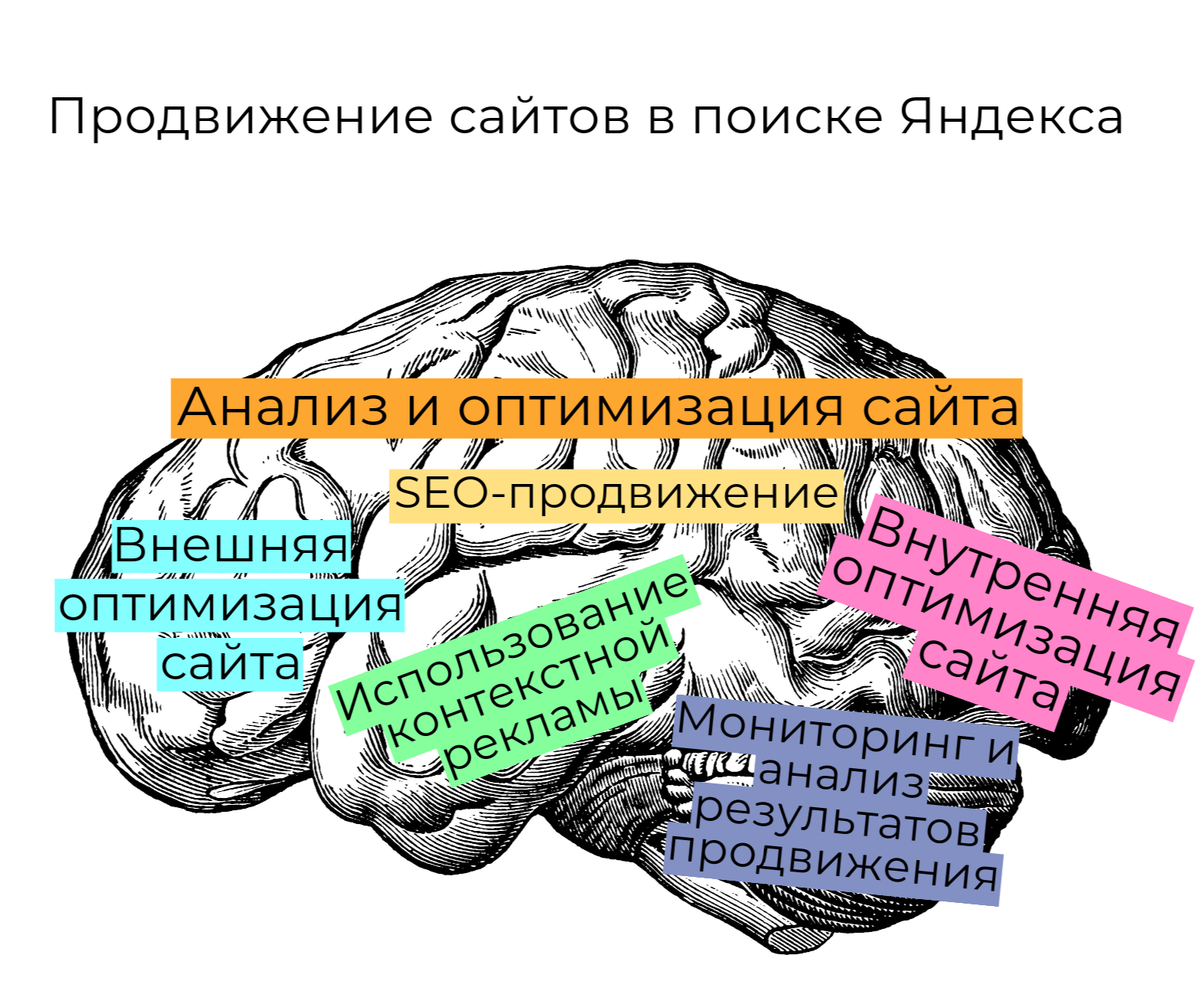 Что нужно знать о продвижение в поисковой системе Яндекс?