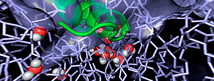 Ученые заявляют: "Остановить коронавирус могут 3 ингредиента на вашей кухне: соль, вода и..." Сейчас всё расскажу подробно.-2