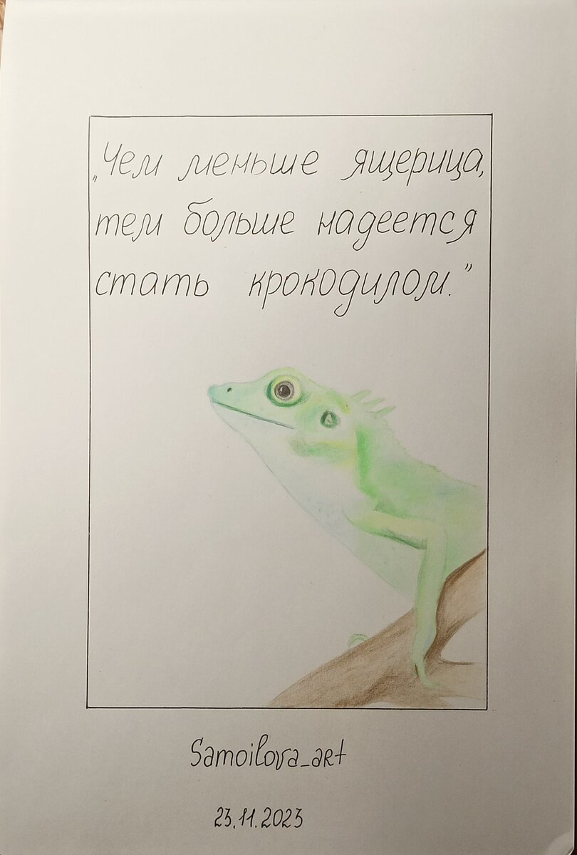 23 ноября 2023