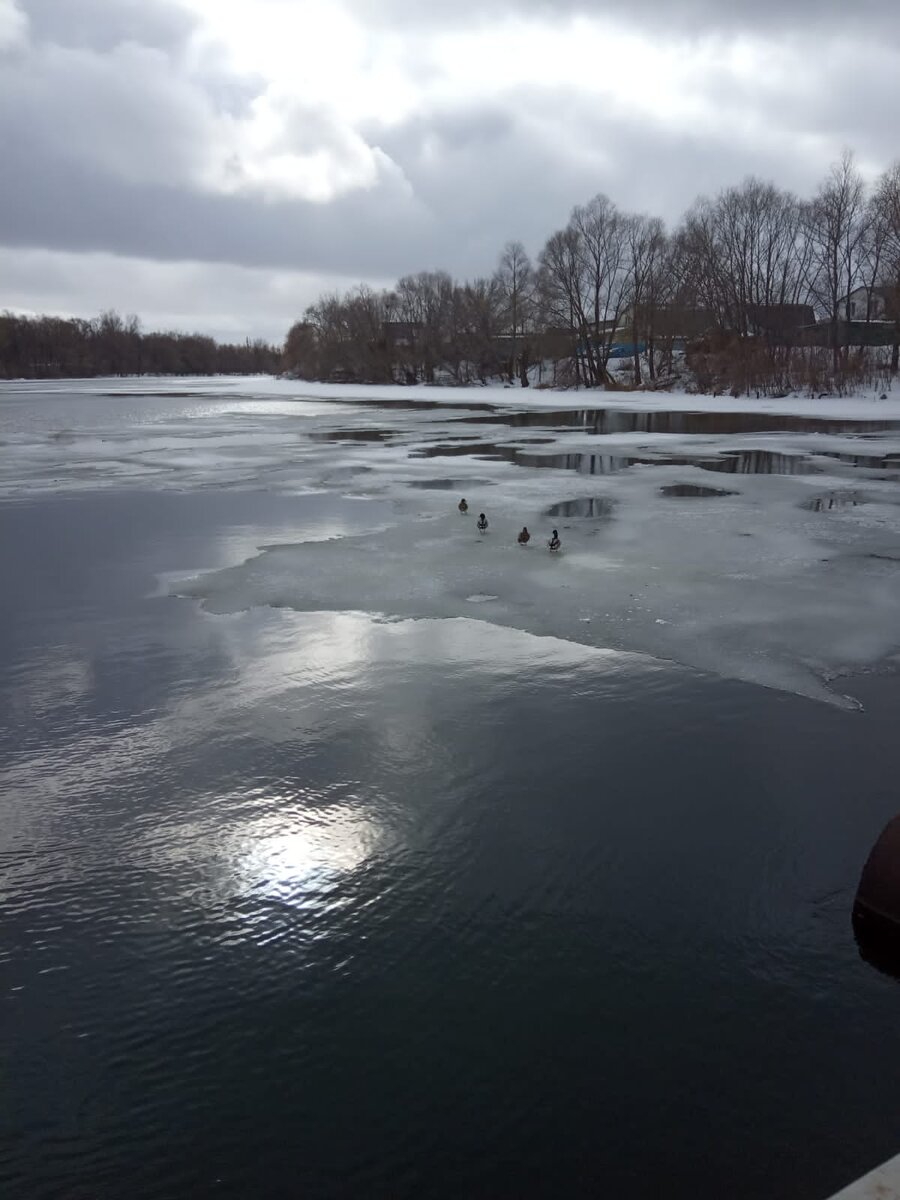 Фото моих друзей