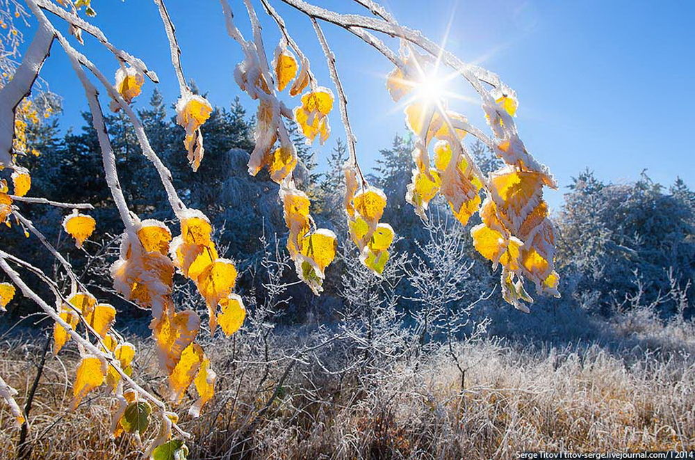 Снежный осенний день. Ноябрь природа. Осень ноябрь. Осенние заморозки и солнце. Морозное осеннее утро.