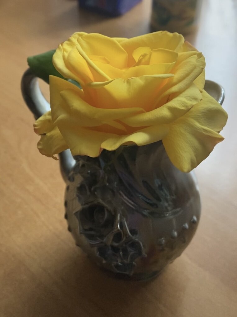 На фото роза из моего сада. Последняя в этом году. 