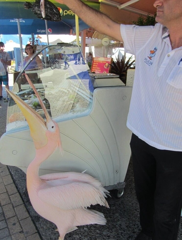  Фото от Pikabu.ru . В ознакомительных целях.