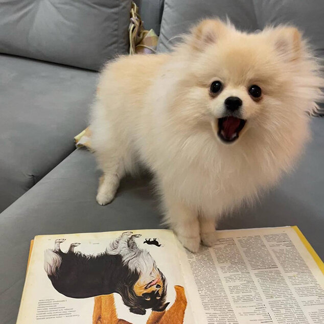 А если я самая милая, то можно?