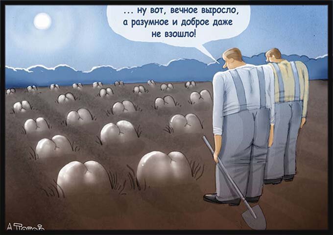 Рисунок Андрея Попова