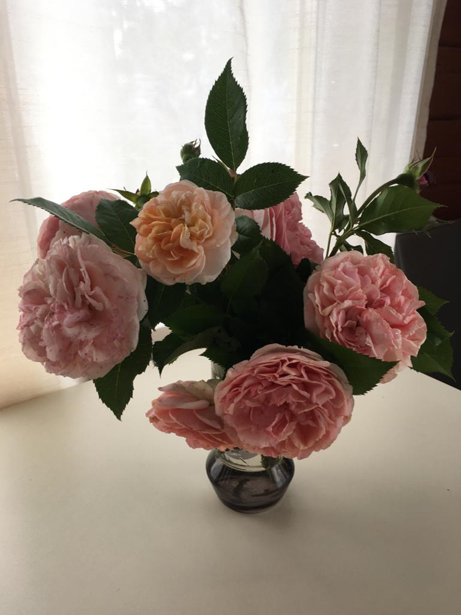 1. Наталия Петрова