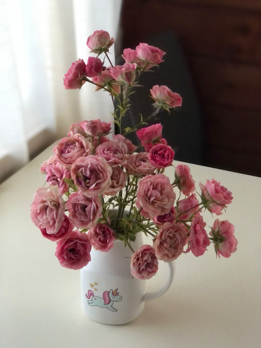 2. Наталия Петрова